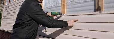 Best Siding Painting and Refinishing  in Fairmont City, IL